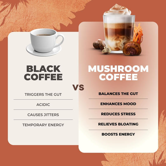 RYZE Mushroom Coffee Kit packaging featuring 30 servings of organic, all-natural mushroom coffee for energy and focus
